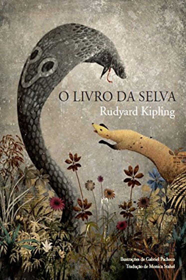 Lugar O Livro da Selva