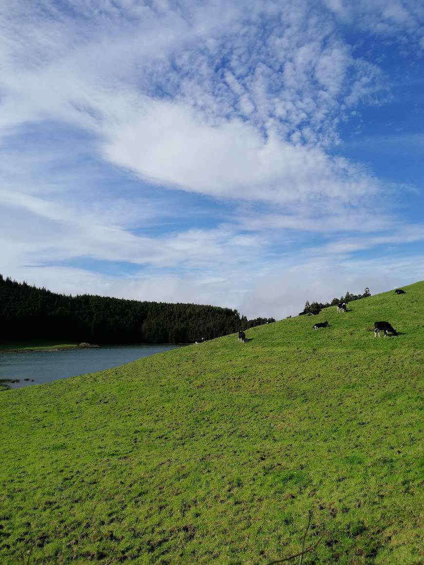 Lugar Lagoa de São Brás