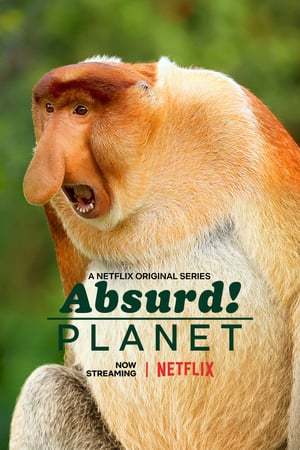 Serie Un planeta absurdo