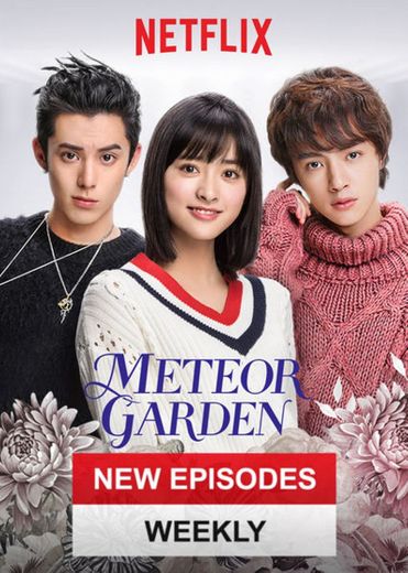 Meteor Garden | Netflix Official Site