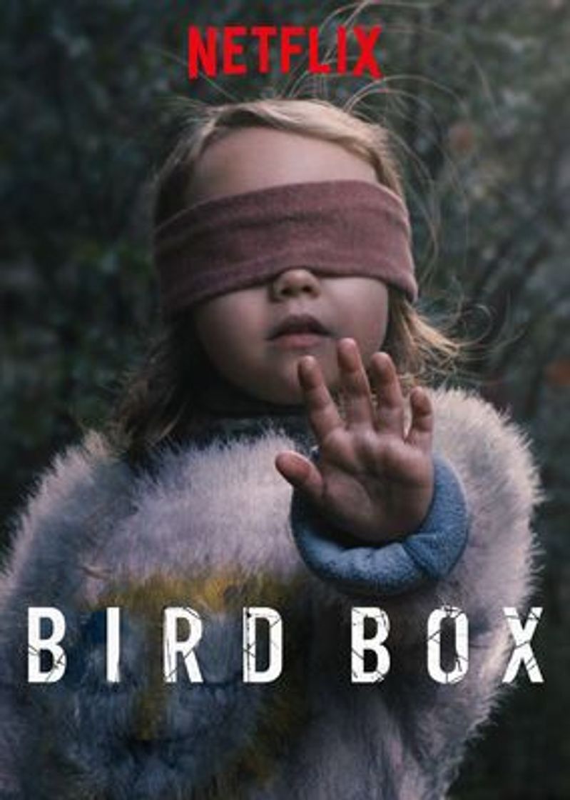 Película Bird Box | Netflix Official Site