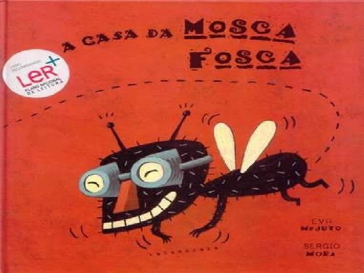 Libro A casa da mosca Fosca