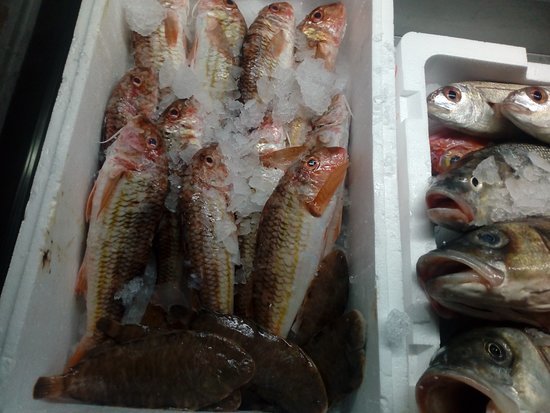 Restaurantes Tremelga