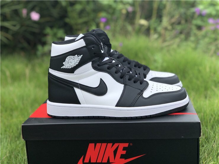 Jordan 1 Mid 