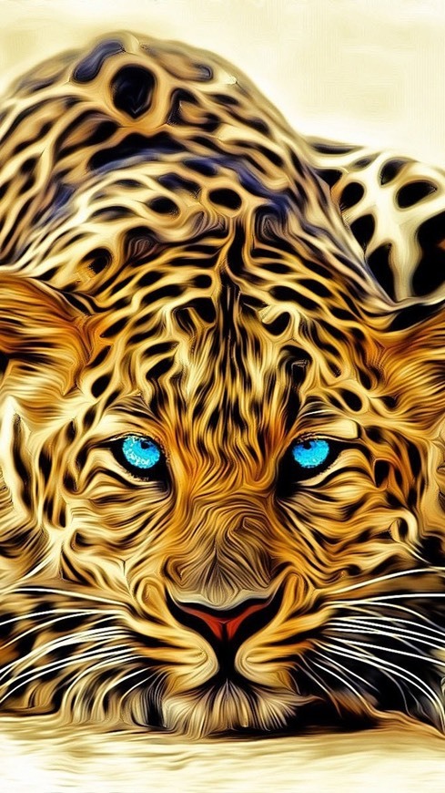 Producto Wallpaper 🐆