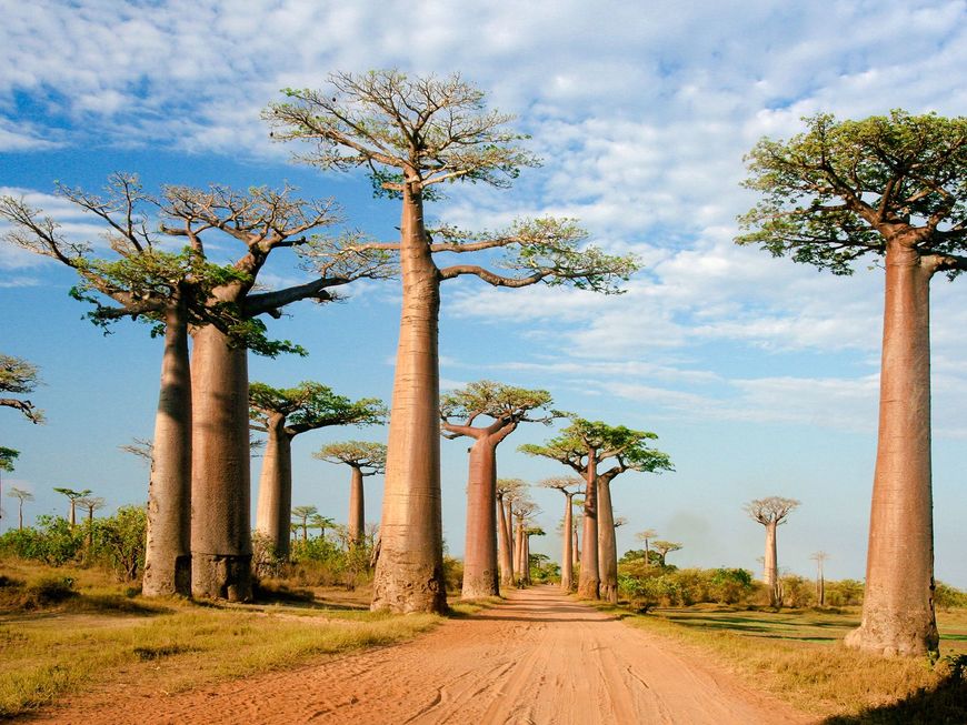 Place Madagascar
