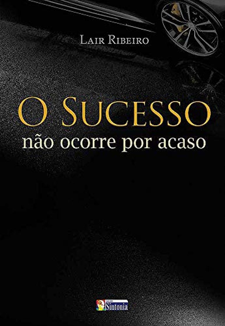 Book O sucesso não ocorre por acaso