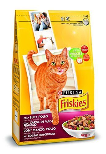 Friskies - Alimento seco para Gato Adulto Con Buey