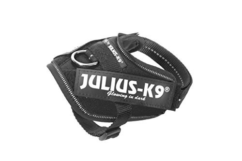 Producto Julius-K9 16IDC