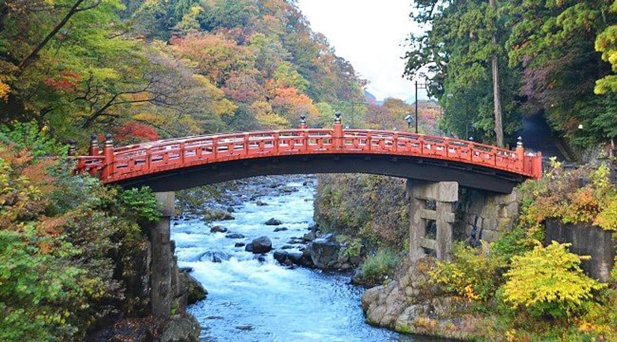 Lugares Fujiyama Park