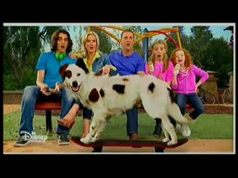 Serie O Meu Cão Tem Um Blog 