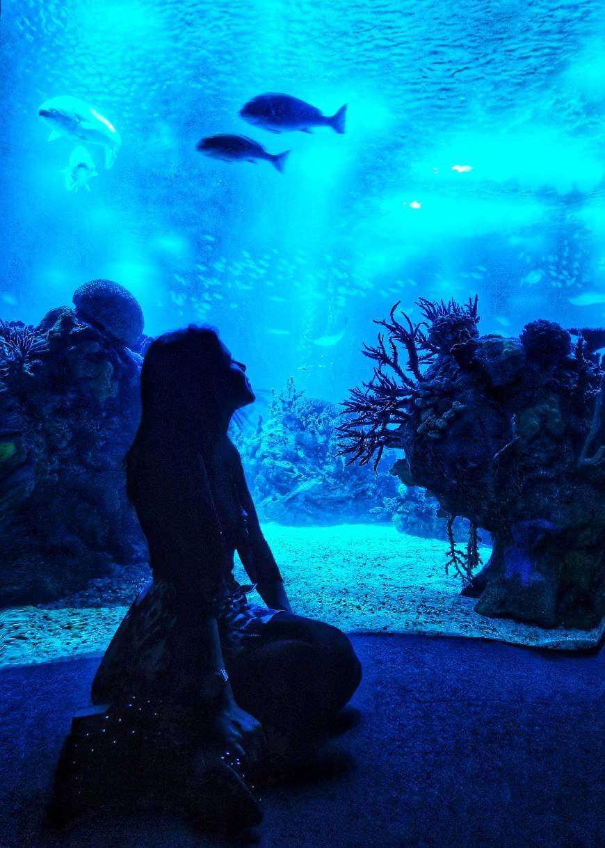 Place Oceanario de Lisboa