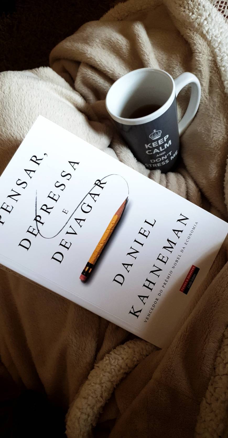 Libro Pensar  Depressa e Devagar  Daniel Kahneman