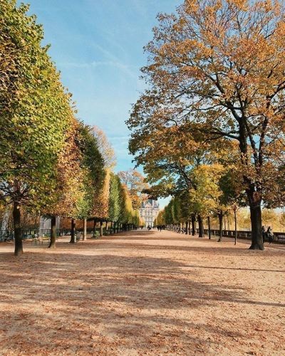 Lugar Jardin des Tuileries