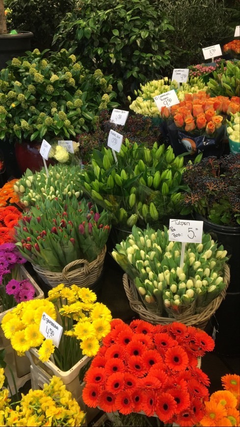 Lugar mercado das flores