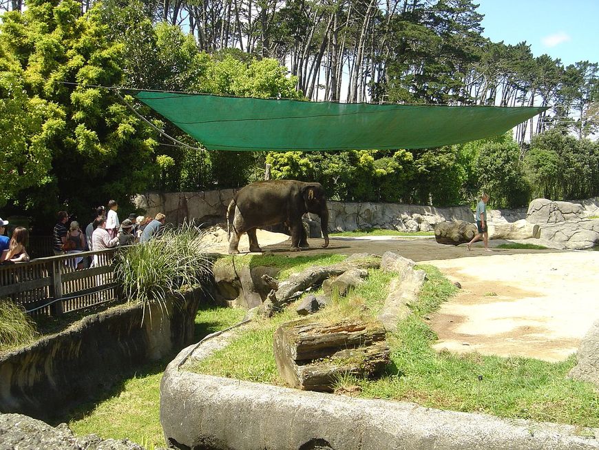 Lugar Zoológico de Auckland