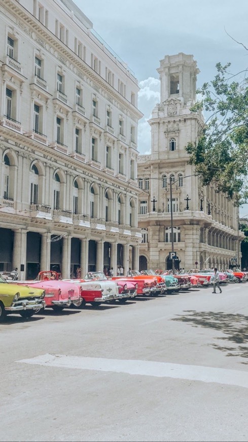 Fashion Havana