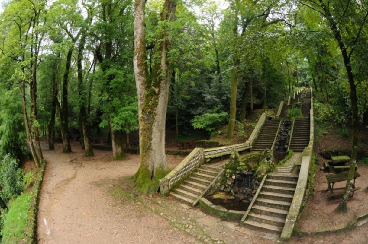 Place Fundação Mata do Bussaco