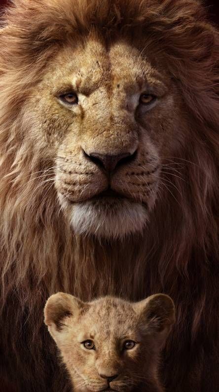 Película El rey león