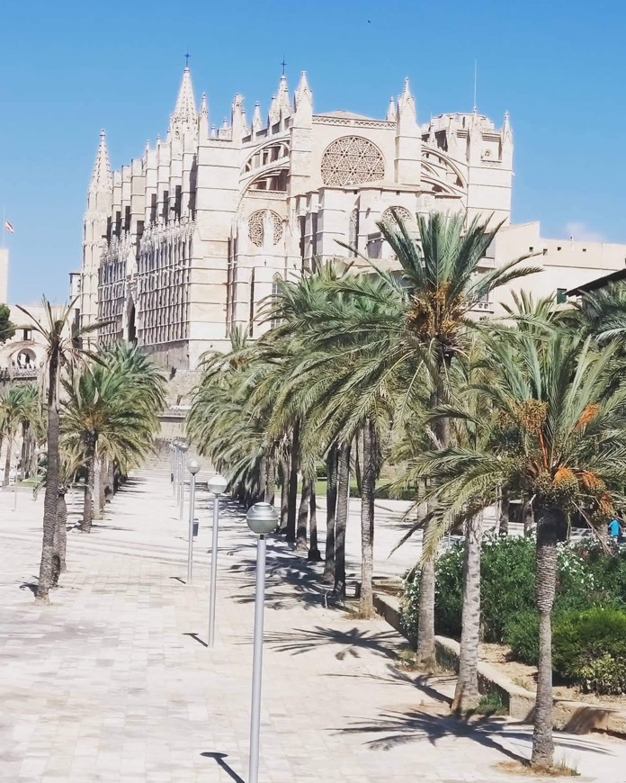 Lugar Catedral-Basílica de Santa María de Mallorca