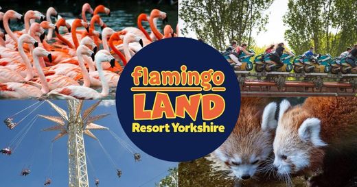 Flamingo Land Resort