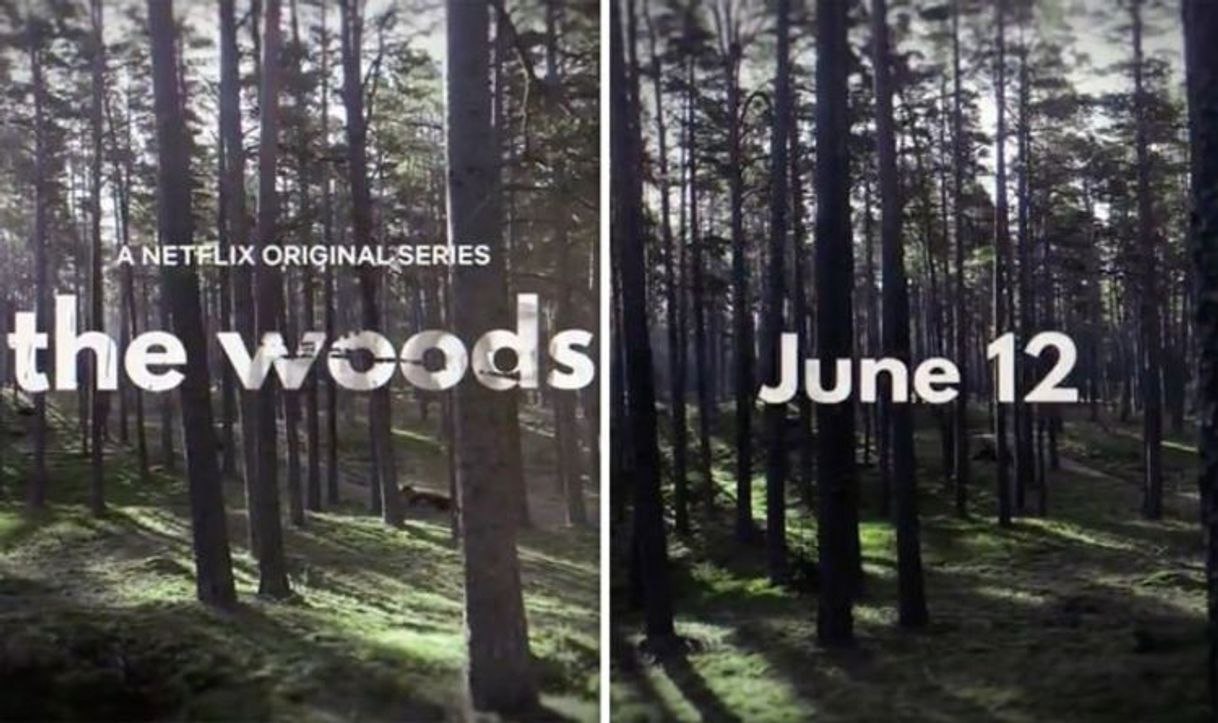 Series The Woods