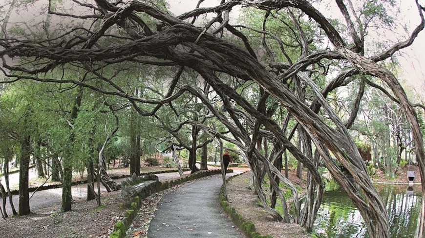 Lugar Parque La Salette em Oliveira de Azeméis