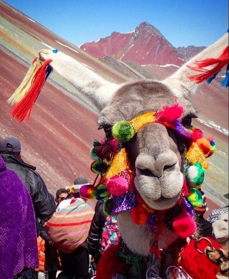 Place Vinicunca Rainbow Mountain