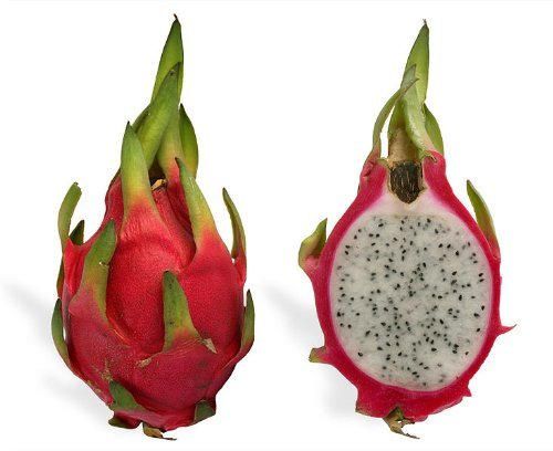 20 WHITE DRAGON FRUIT