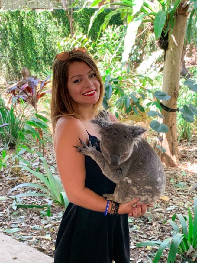 Places Lone Pine Koala Sanctuary