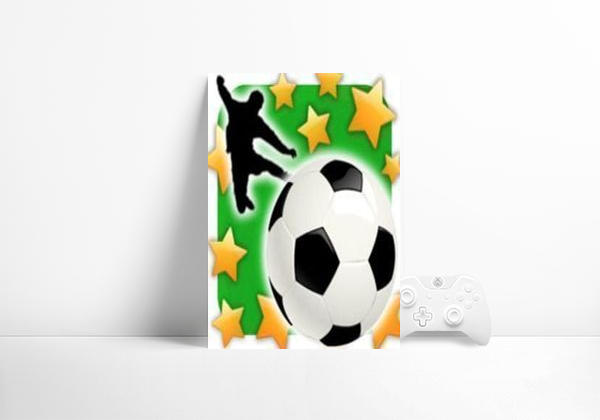Videogame New Star Soccer