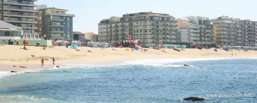 Lugar Praia da Salgueira