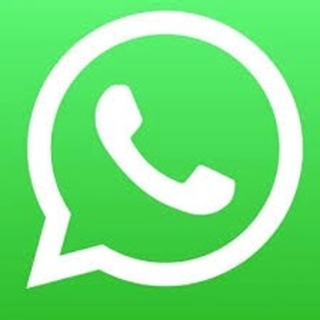 App Whatsapp 