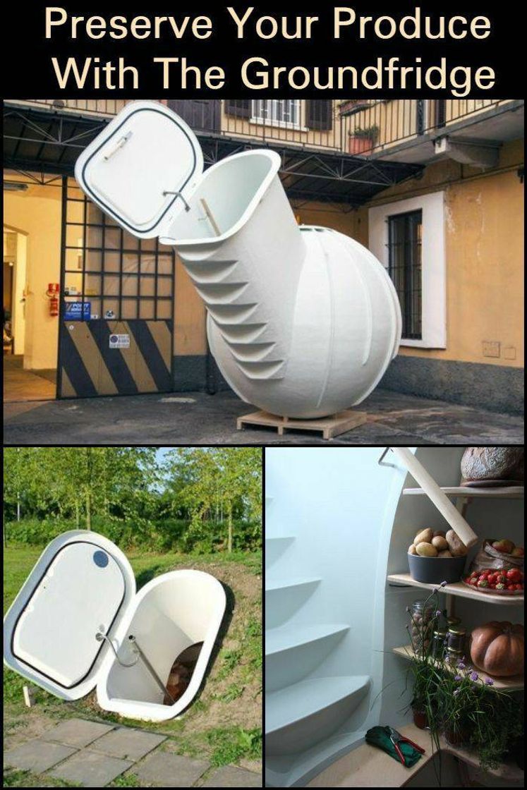 Social Curiosidades