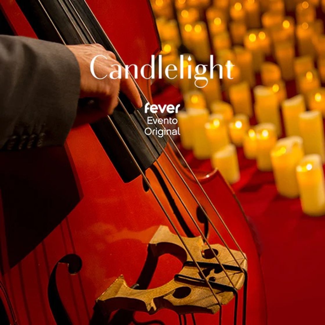 Fashion Concierto Candlelight 