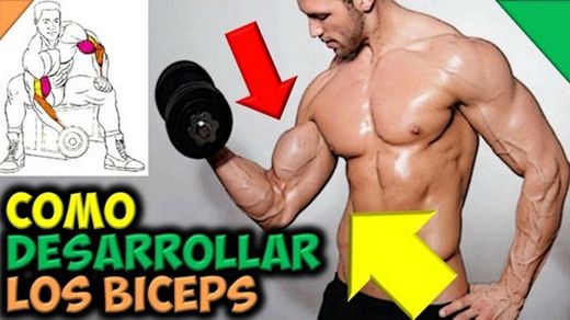 Como agrandar los bíceps // ganar masa muscular de los brazo