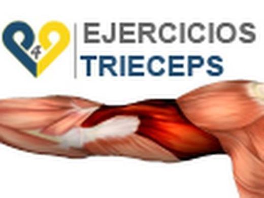 Ejercicios triceps : flexion 2 bancos - YouTube