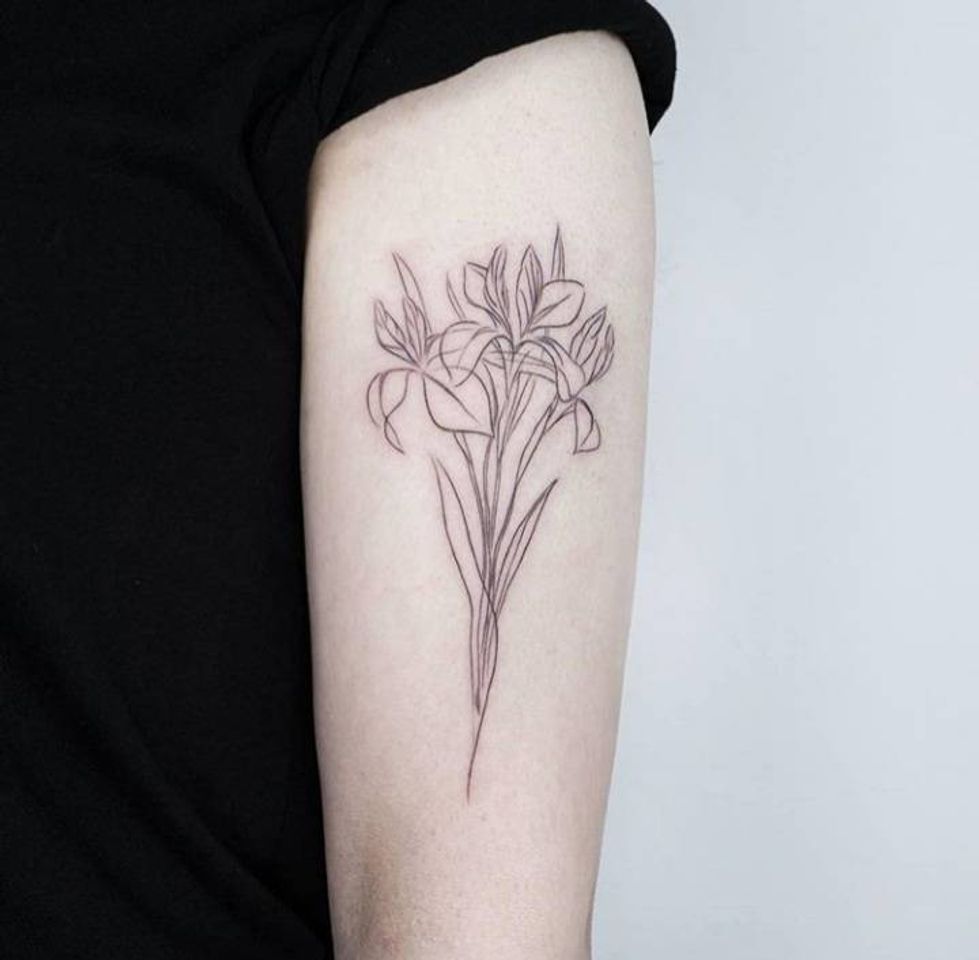 Social Tatuagens 