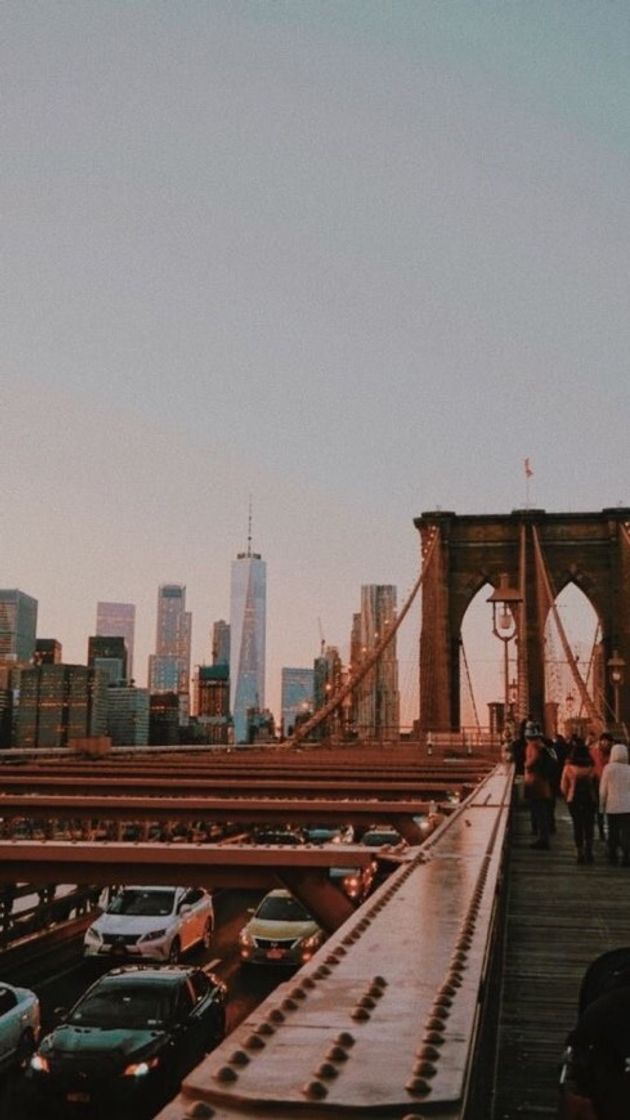 Place Brooklyn Bridge