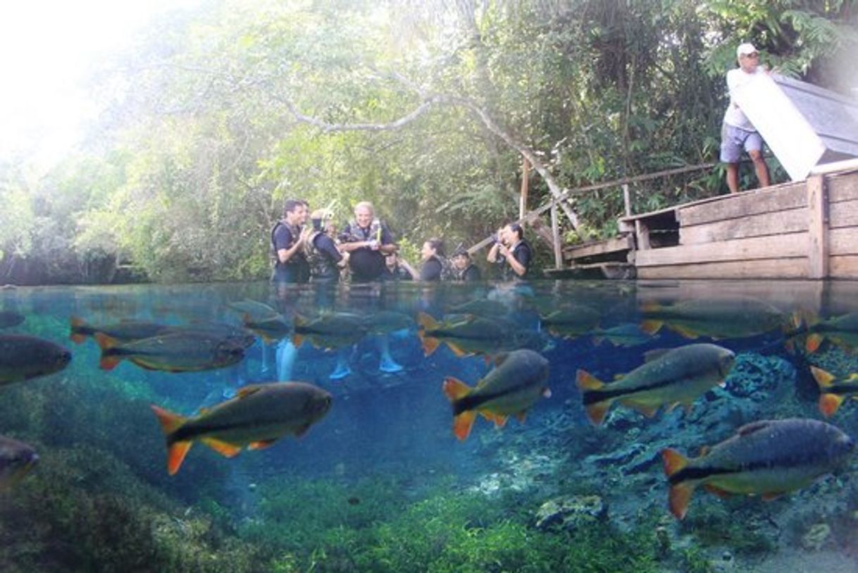 Lugar Mato Grosso do Sul
