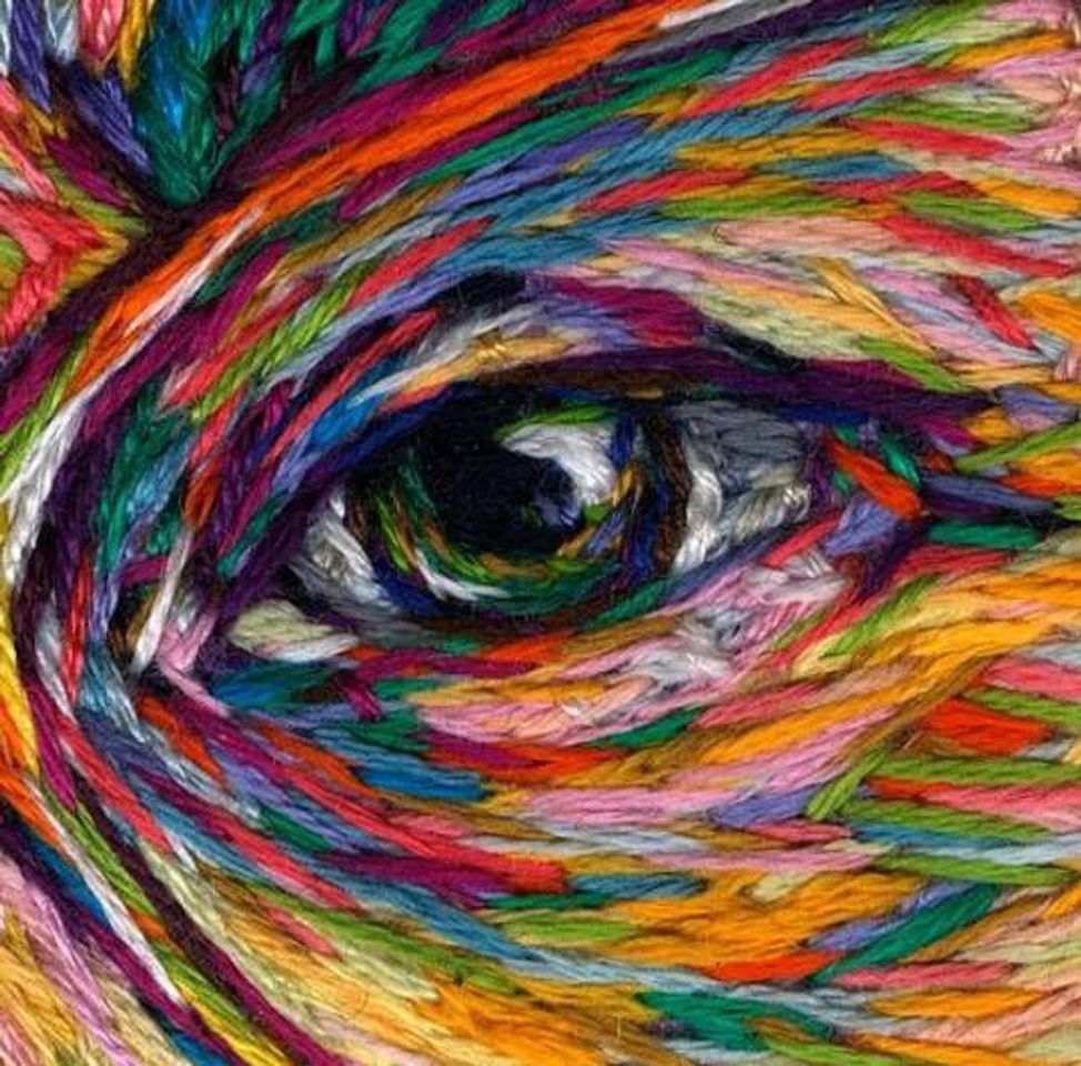 Social 👁