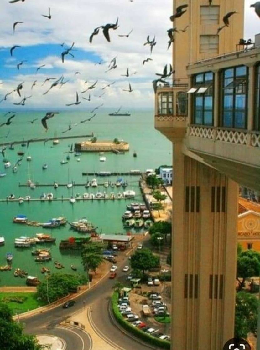 Place Elevador Lacerda