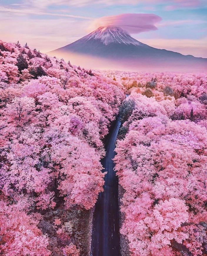 Lugar Mount Fuji