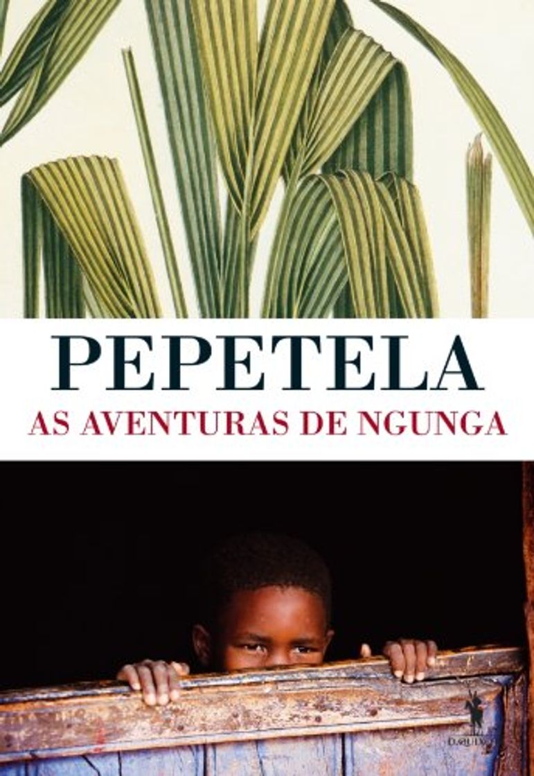 Books As Aventuras de Ngunga