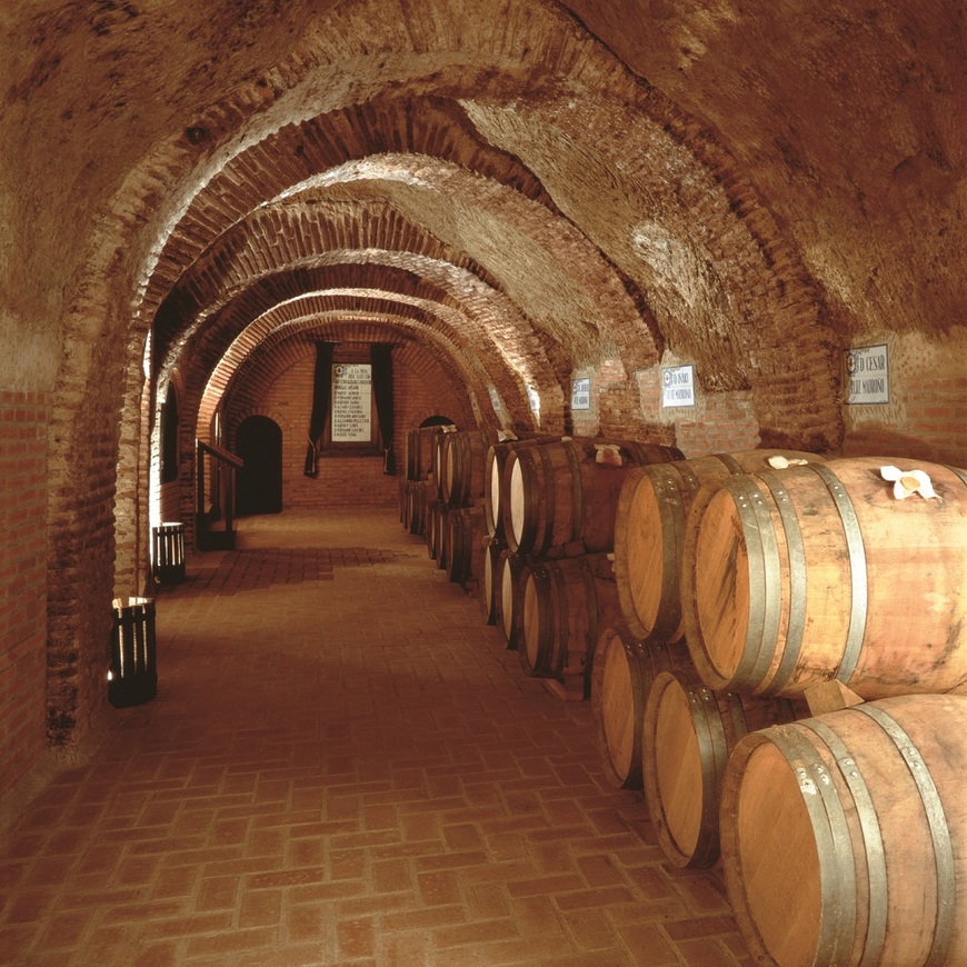 Lugar Bodegas en Aranda de Duero