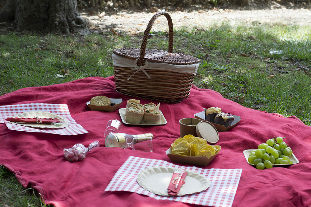 Social Picnic romantic Touch