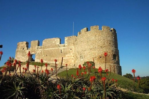 Castelo de Torres Vedras