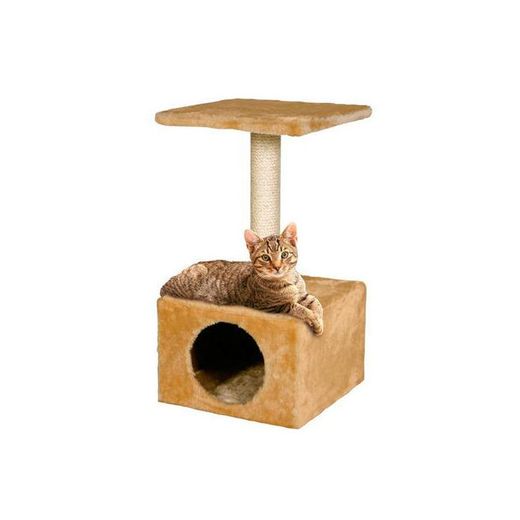 Arranjador standard para gatos plantadores gateira