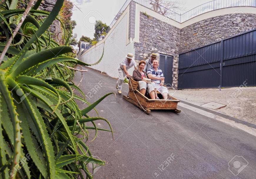 Place Carreiro Do Monte