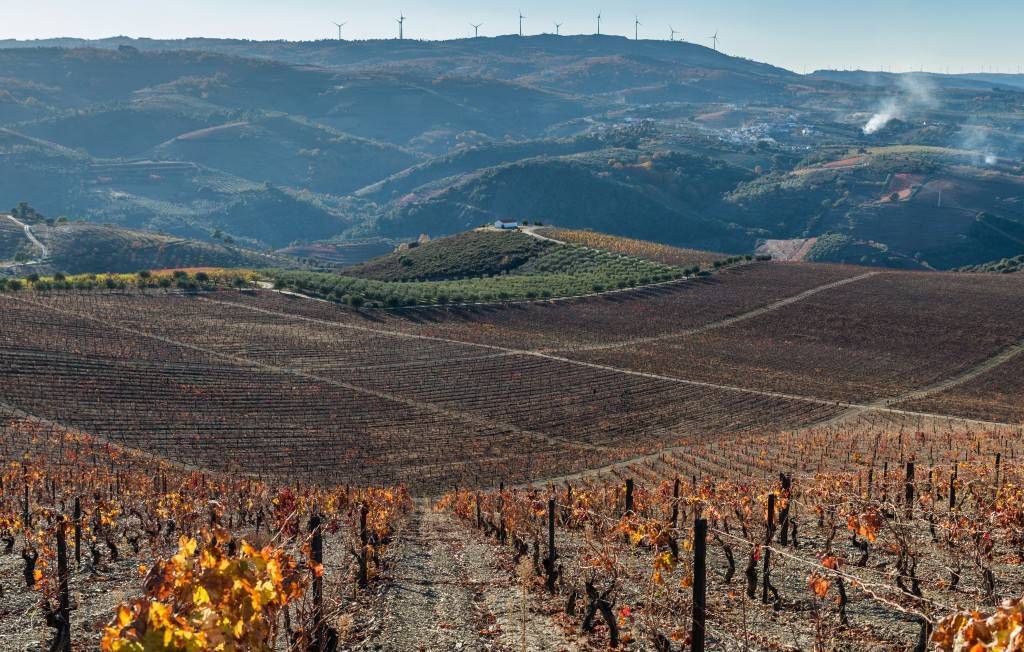 Lugares Quinta de Santa Luzia